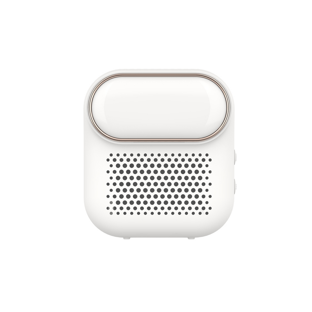 EraClean Portable Lint Remover
