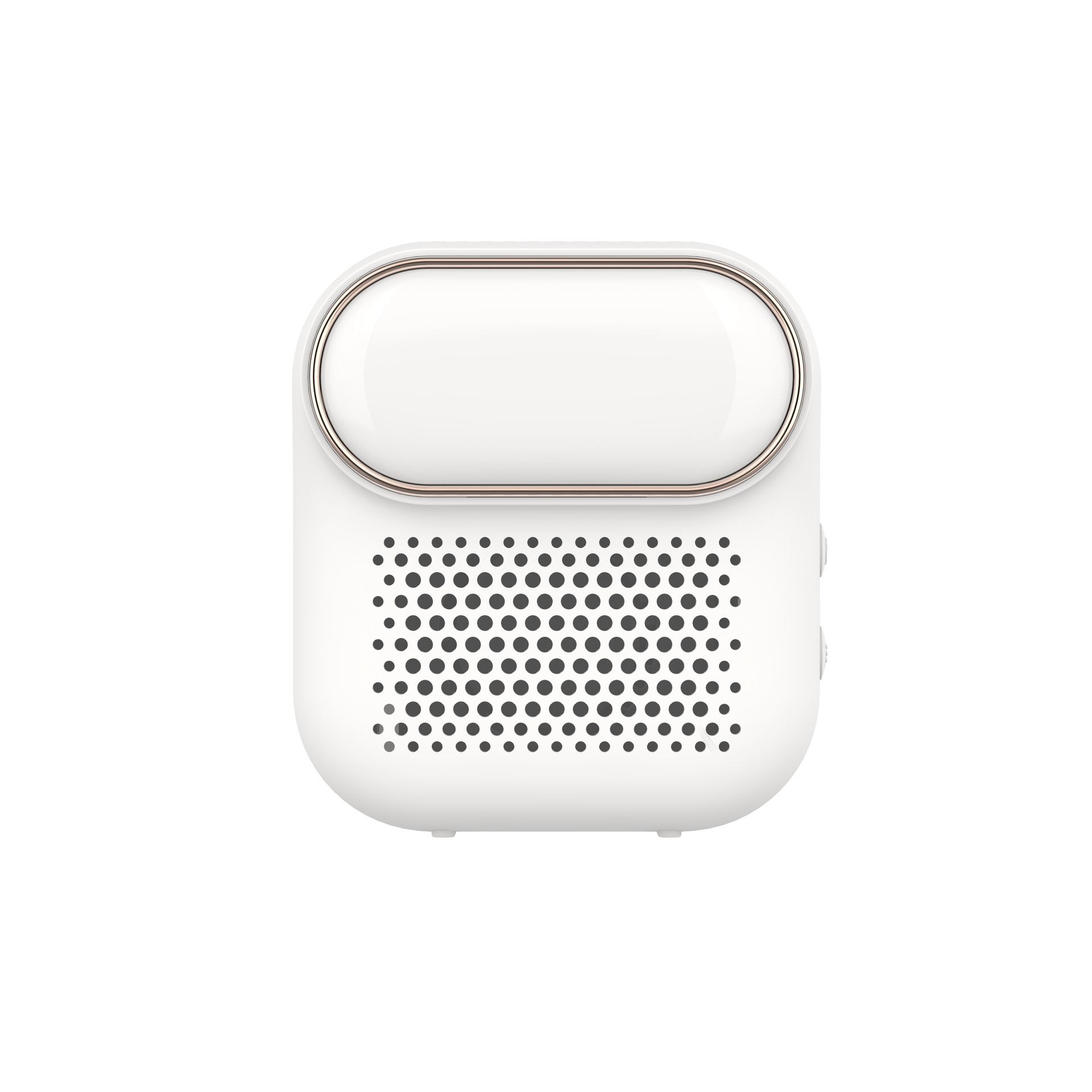 EraClean Portable Lint Remover